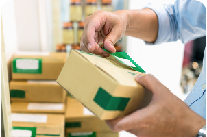 Paper Printing & Packaging Industry